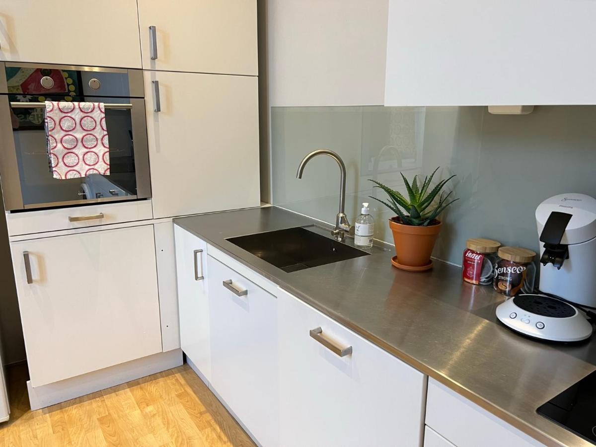 Fredrikstad Cicignon, Peaceful But Central With Garden, Parking And Long Stay Facilities Exterior photo